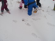 Výprava do zimního lesa